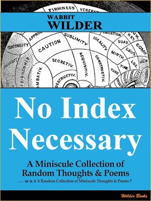 cover image of No Index Necessary